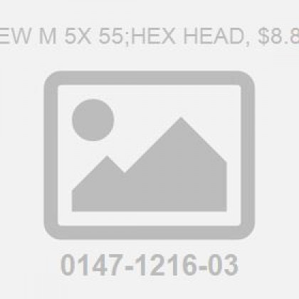 Screw M 5X 55;Hex Head, $8.8 Fzb